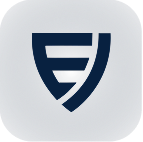 Shield brand icon