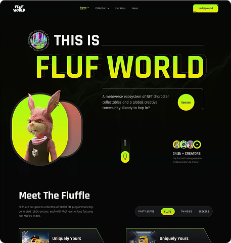 Website design portfolio 7